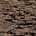 Capacitan a tcnicos sobre el uso de la herramienta ASIS para el monitoreo de la sequa agrcola