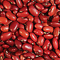 Esta semana comienza compra de frijoles en Chiriqu