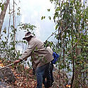 Chiriqu inicia la campaa de Prevencin de Incendios de Masa Vegetal