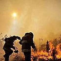 Afirman que incendios forestales sern cada vez ms frecuentes