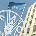 FAO insta a profundizar mercado agroalimentario en Centroamrica