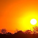 Temperatura mundial tiene 50 por ciento de probabilidades de alcanzar umbral de 15 grados en cinco aos OMM