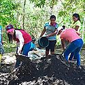 Presentan alternativas de abono orgnico para abaratar costos de produccin