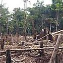 MiAMBIENTE presenta el Plan Nacional de Accin Climtica