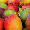 Sabes cuntas clases de mango existen