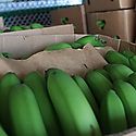 Banano y cobre lideran las exportaciones