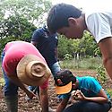 Gobierno Nacional y FAO amplan programa de inclusin productiva a familias indgenas