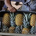Exportaciones panameas crecen 174 a octubre 2020