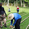 Regional de Panam Oeste reactiva vivero en El Cacao para reforestar cuencas hidrogrficas de Capira