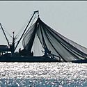 Tratan pesca ilegal en Panam