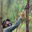 Corea Eximbank y CAF promovern el sector productivo forestal de Panam