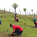 Urge integrar la dimensin econmica y la poblacin en la restauracin forestal