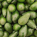 Impulsan exportacin de aguacates en Tierras Altas