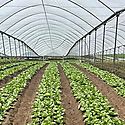 Avanza programa nacional de buenas prcticas y trazabilidad agrcola