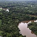 Lanzan Observatorio Regional de la Amazonia