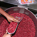 Autoridades y productores revisan costos de produccin de frijoles