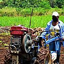 Hay necesidad de transformar los sistemas agroalimentarios