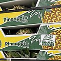 Exportacin de fruta panamea arranca con buen ritmo en el 2022
