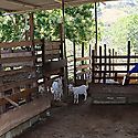 Productores fortalecen capacidades ambientales para proteger la Cuenca Hidrogrfica del ro La Villa