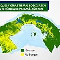 Panam incrementa en un 3 su cobertura boscosa