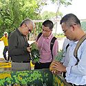 Panam contina el proceso de postulacin de empresas exportadoras de productos agrcolas al mercado de China