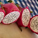 Refuerzan el manejo de la pitahaya