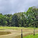 MIDA inaugura Escuela de Campo en ricipisicultura en Panam Oeste