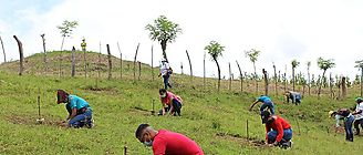 Urge integrar la dimensin econmica y la poblacin en la restauracin forestal