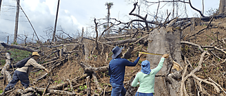 Onu alerta sobre grave deforestacin mundial en 2022