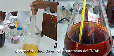 IDIAP aporta informacin para el plan energtico nacional 20152050