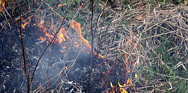 Quemas prescritas para mejorar la prevencin de incendios