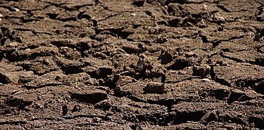 Capacitan a tcnicos sobre el uso de la herramienta ASIS para el monitoreo de la sequa agrcola