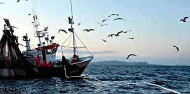 Panam se prepara para legislar sobre proteccin de la pesca y la acuicultura