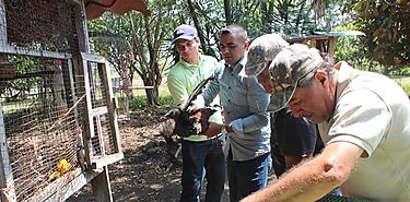 ONU destaca necesidad de preservar la vida silvestre