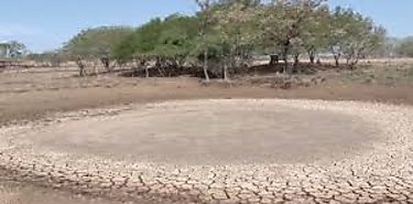 Urgen al Caribe prepararse para períodos de sequía recurrentes