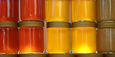 Productores Apcolas de Panam Oeste reciben capacitacin