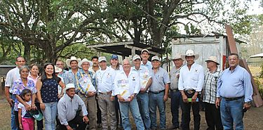 Pequeños productores logran mantener su ganado  Pequeños productores logran mantener su ganado
