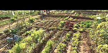FAO presenta publicacin sobre xito de grupos rurales