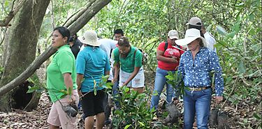 Isla Zapatilla 1 es reforestada