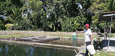 Herramienta para medir impacto climtico de ganadera
