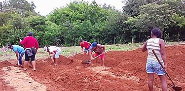 FAO promueve agricultura familiar en cumbre alimentaria en Miln
