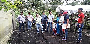 Las Maras aprende tcnicas sobre Agricultura Orgnica