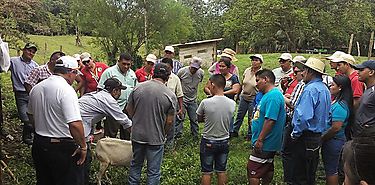 Charlas sobre salud animal a productores de Bocas del Toro Charlas sobre salud animal a productores de Bocas del Toro