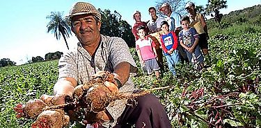 Monitoreo de cosecha de arroz en Montijo Veraguas