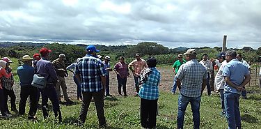 Productores visitan fincas de difusin tecnolgica en Veraguas