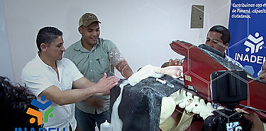 Primer simulador bovino en Panamá fue adquirido por INADEH Primer simulador bovino en Panamá fue adquirido por INADEH