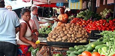 Canasta Bsica de Alimentos se ubic en B30796 al cierre de noviembre 