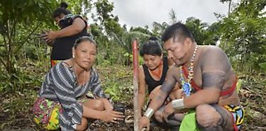 3er gran da de reforestacin se realizar el prximo 24 de junio