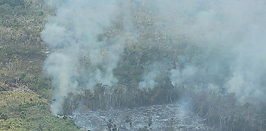 Drstico aumento de incendios de masa vegetal