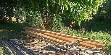 MiAMBIENTE sigue supervisando la zafra maderera 